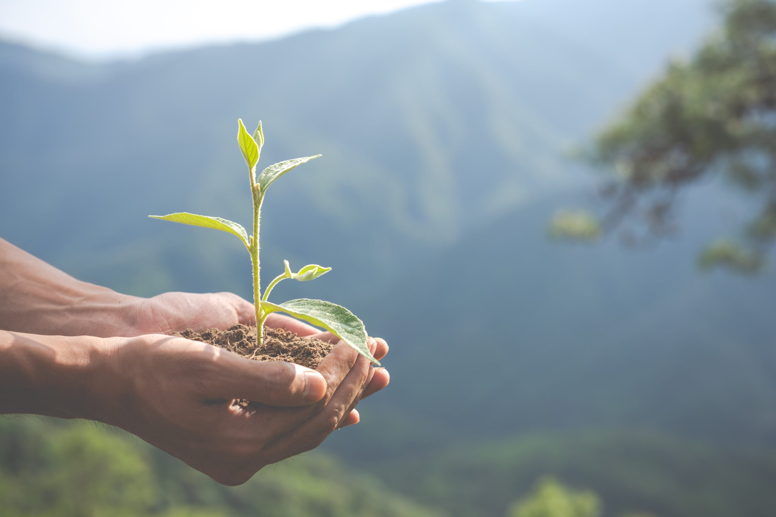engagement en faveur de l'environnement
